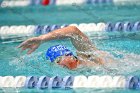 Swimming & Diving vs Babson  Swimming & Diving vs Babson College. - Photo by Keith Nordstrom : Wheaton, Swimming